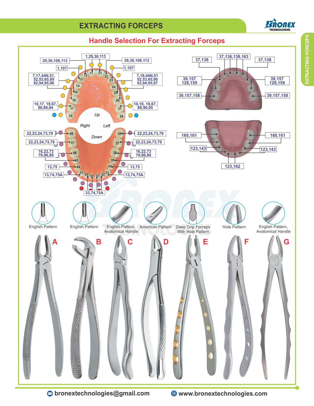 Extracting Forceps
